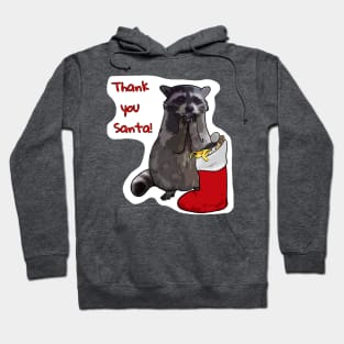 Merry Trash-mas! Hoodie